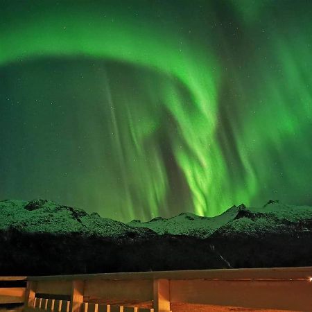 Unique And Charming House At The Foot Of Lofoten'S Highest Mountain Svolvaer Bagian luar foto