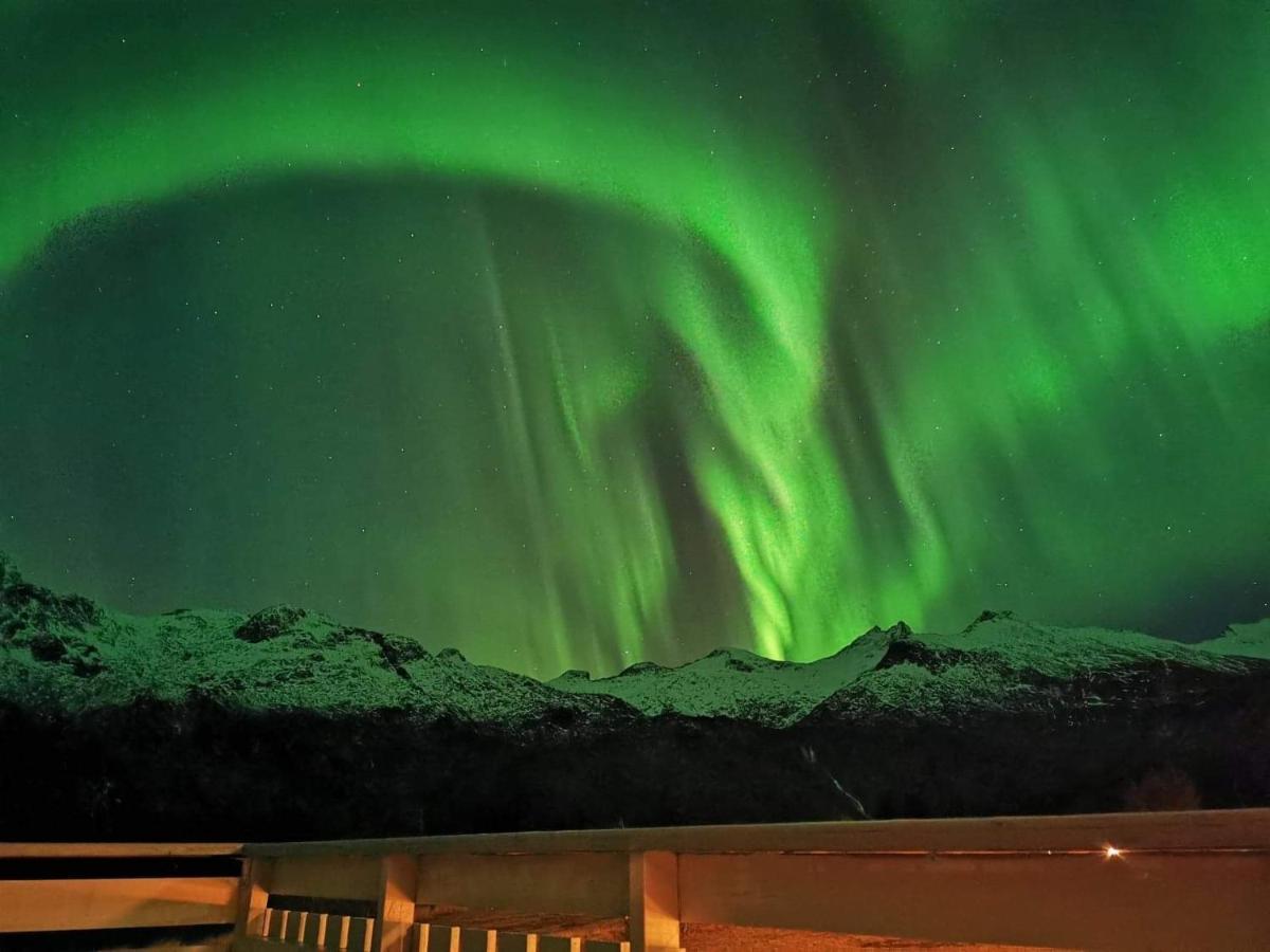 Unique And Charming House At The Foot Of Lofoten'S Highest Mountain Svolvaer Bagian luar foto