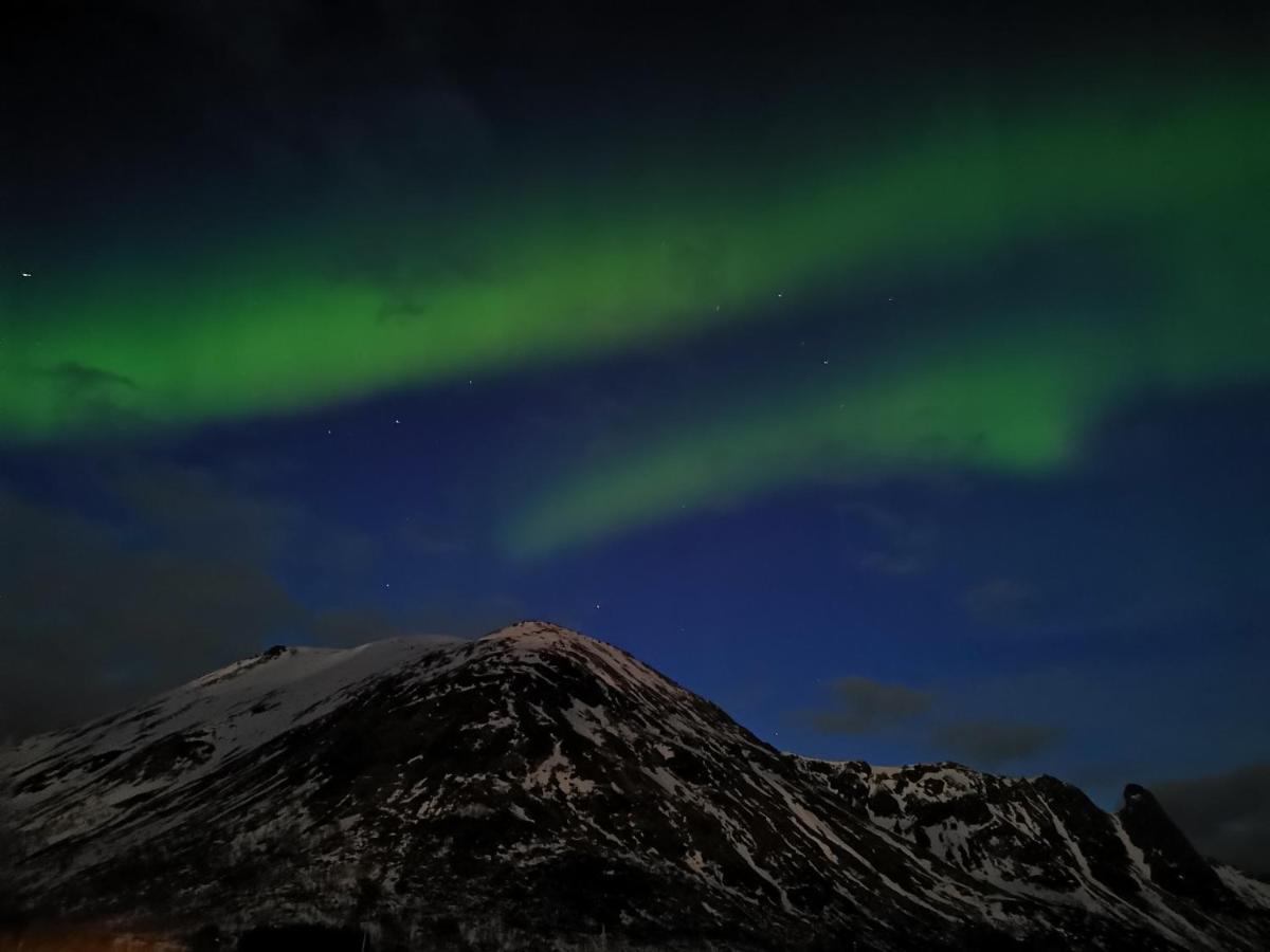 Unique And Charming House At The Foot Of Lofoten'S Highest Mountain Svolvaer Bagian luar foto