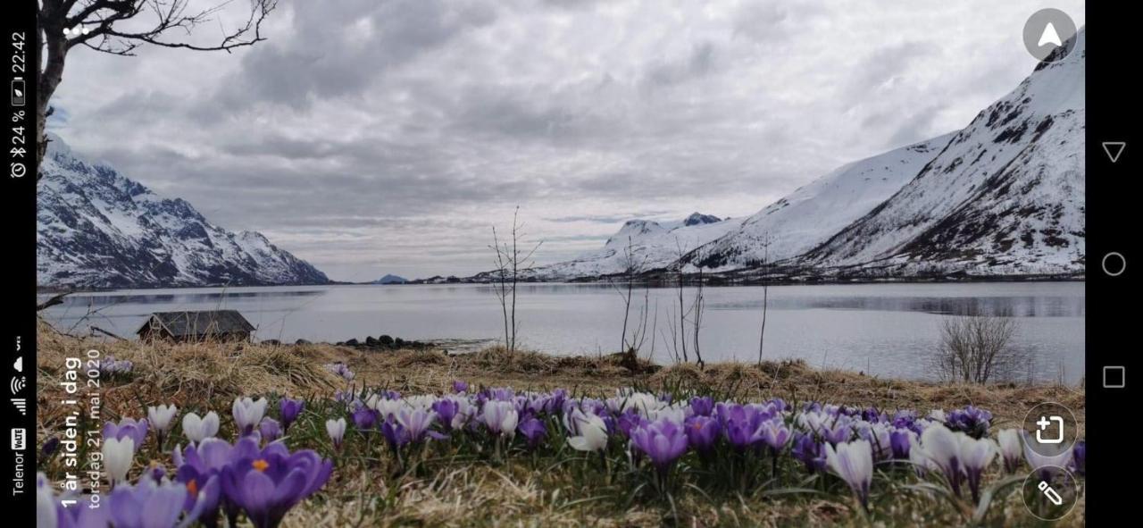 Unique And Charming House At The Foot Of Lofoten'S Highest Mountain Svolvaer Bagian luar foto